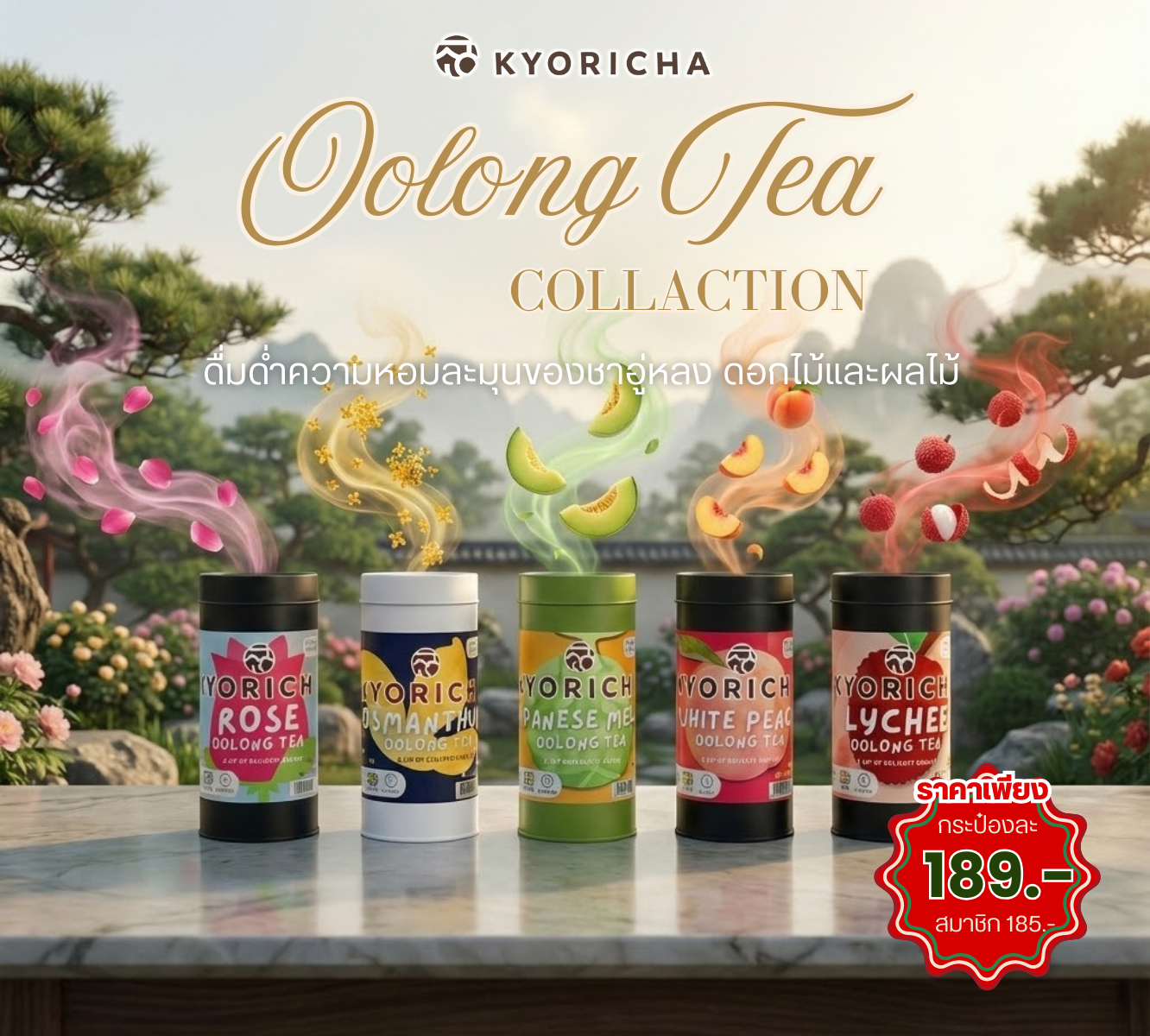 KYORICHA ใบชา Oolong Tea มี 5 รสชาติ (แบบกระป๋อง)