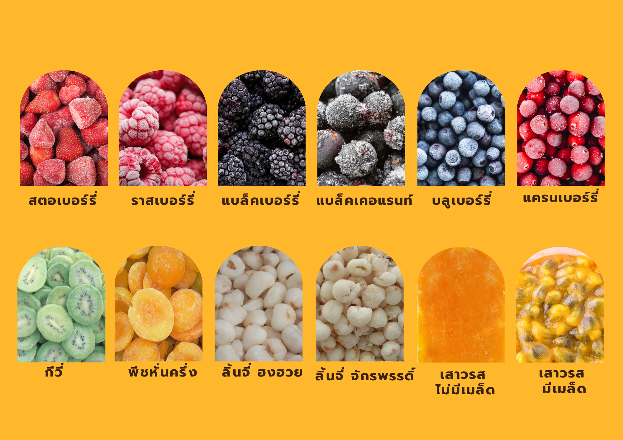 Frozen Fruit ผลไม้แช่แข็ง