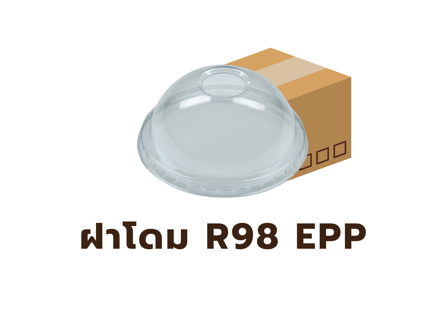 ยกลัง ฝาโดม95 พลาสติก R98 เจาะรู EPP